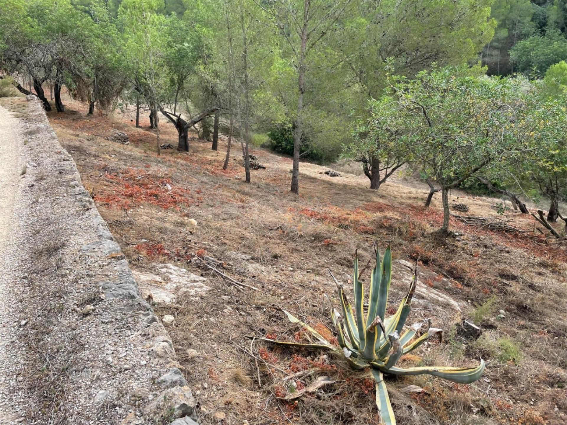 Finca rústica en venda a Urbanitzacio Simpatica, 107, Urbanitzacions