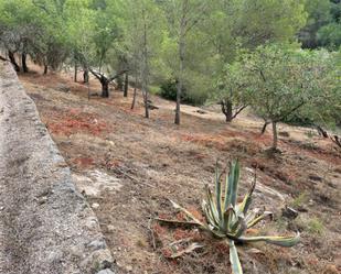 Finca rústica en venda en Tortosa