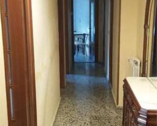 Flat to rent in León Capital   with Terrace
