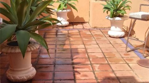 Haus oder Chalet zur Miete in Strasse Cerquilla de Nagûeles, 13, Lomas de Marbella Club, Marbella - Bild 5 Foto 5 von Haus oder Chalet zur Miete in Strasse Cerquilla de Nagûeles, 13, Lomas de Marbella Club, Marbella