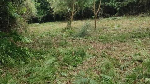 Country house for sale in Camiño Vila, Moeche, A Coruña - image 5 Photo 5 of Country house for sale in Camiño Vila, Moeche, A Coruña