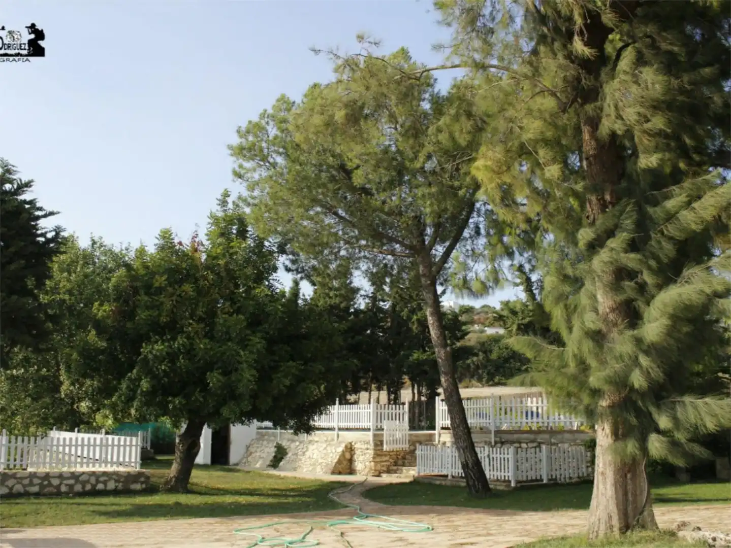 Finca rústica en venta en Calle Triana, 17, Gilena Jardín de Finca rústica en venta en Gilena con Aire acondicionado y Piscina