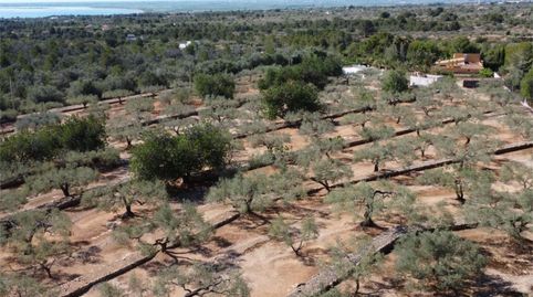 Casa o xalet en venda a Diseminado Diseminats, 358, L'Ampolla, Tarragona - imatge 2 Foto 2 de Casa o xalet en venda a Diseminado Diseminats, 358, L'Ampolla, Tarragona