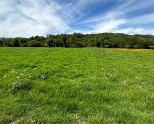 Non-constructible Land for sale in O Rosal  
