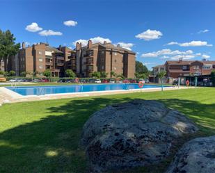 Swimming pool of Flat for sale in Guadarrama  with Terrace and Swimming Pool