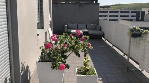 Attic to share in Calle Álamos de Lodosa, 17ap, Sarriguren, Navarra - image 2 Photo 2 of Attic to share in Calle Álamos de Lodosa, 17ap, Sarriguren, Navarra