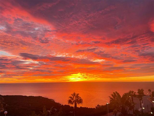 Piso en Alquiler en Carrer Forcall, 6 en La Renegà-Torre Bellver-Les Platgetes