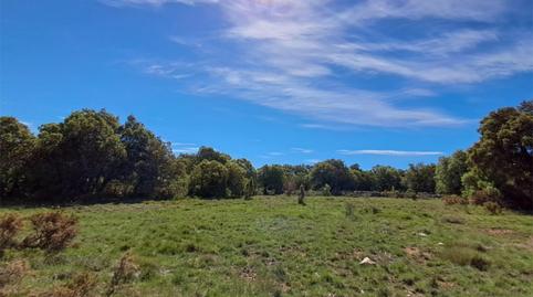 Foto 5 de Terreny en venda a Carrer Recaredo García, 3, Culla, Castellón