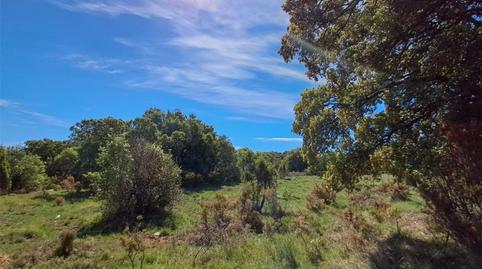 Foto 4 de Terreny en venda a Carrer Recaredo García, 3, Culla, Castellón