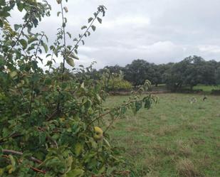 Finca rústica en venda en Guijo de Granadilla amb Calefacció, Jardí privat i Moblat