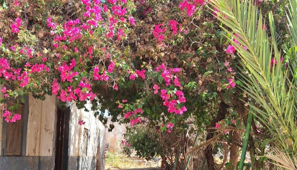 Finca rústica en venda a Calle la Carreterilla, 7, Berja, Almería - imatge 1 Foto 1 de Finca rústica en venda a Calle la Carreterilla, 7, Berja, Almería