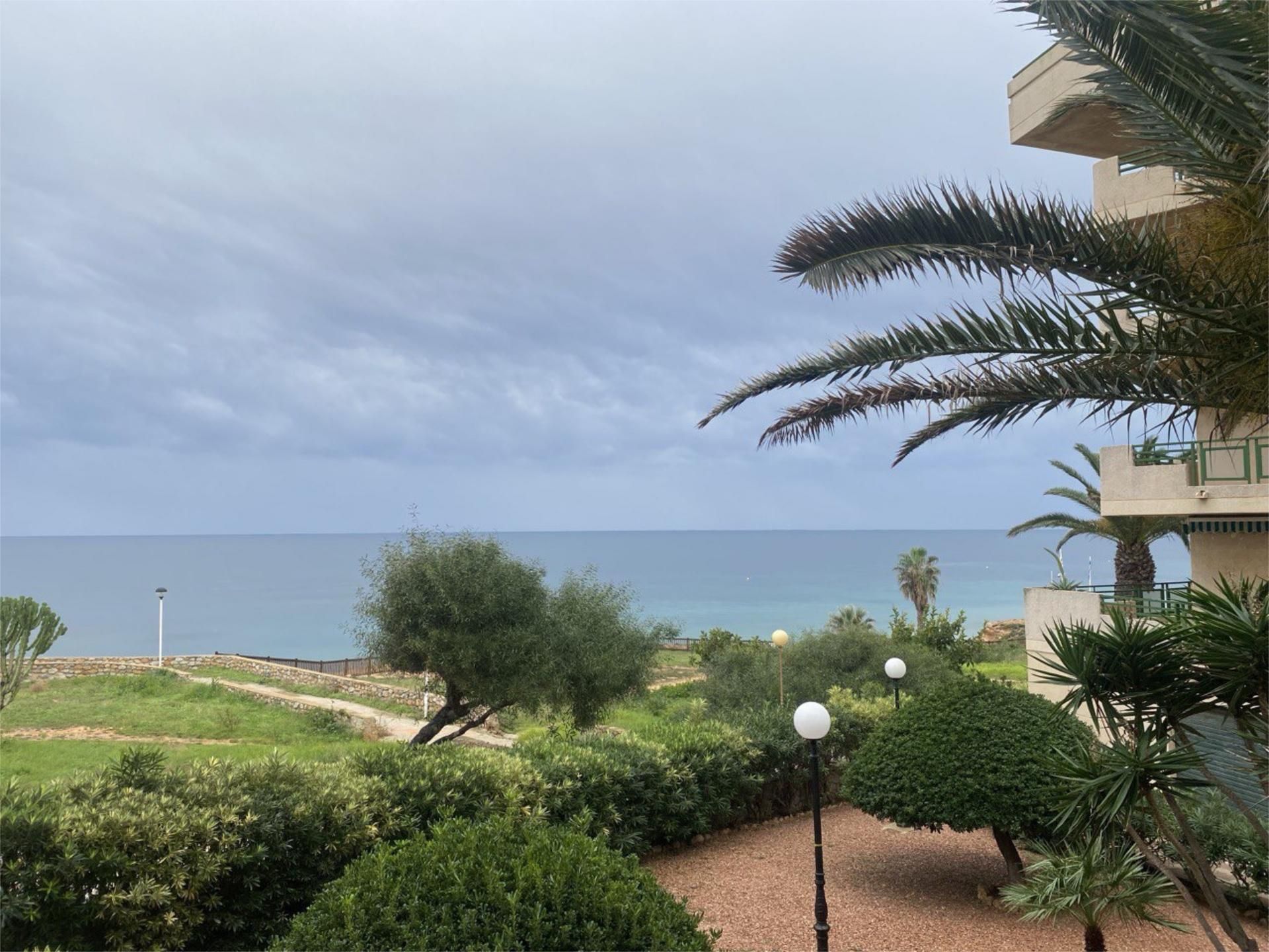 Garden of Flat to rent in Orihuela  with Terrace, Storage room and Furnished
