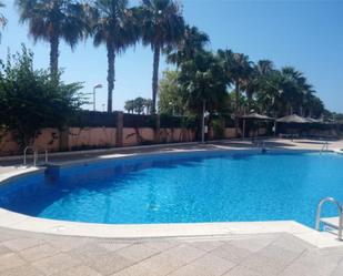 Swimming pool of Apartment to rent in Oropesa del Mar / Orpesa  with Air Conditioner, Terrace and Swimming Pool