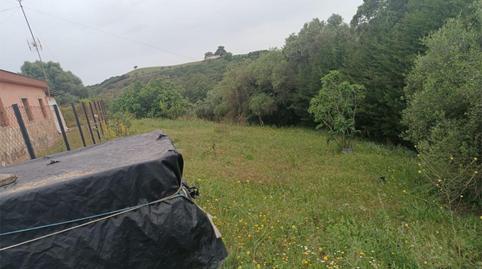 Country house for sale in Ca-5200, 47, San José del Valle, Cádiz - image 4 Photo 4 of Country house for sale in Ca-5200, 47, San José del Valle, Cádiz