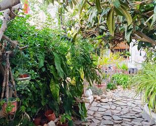 Jardí de Casa adosada en venda en Orihuela amb Terrassa