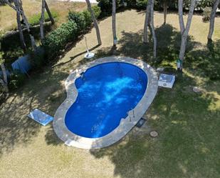 Swimming pool of Flat to rent in Torremolinos  with Air Conditioner, Terrace and Swimming Pool