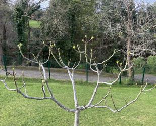 Jardí de Terreny en venda en Gijón 