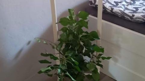 Photo 3 of Single-family semi-detached for sale in Calle Fernando el Católico, 10, Escatrón, Zaragoza