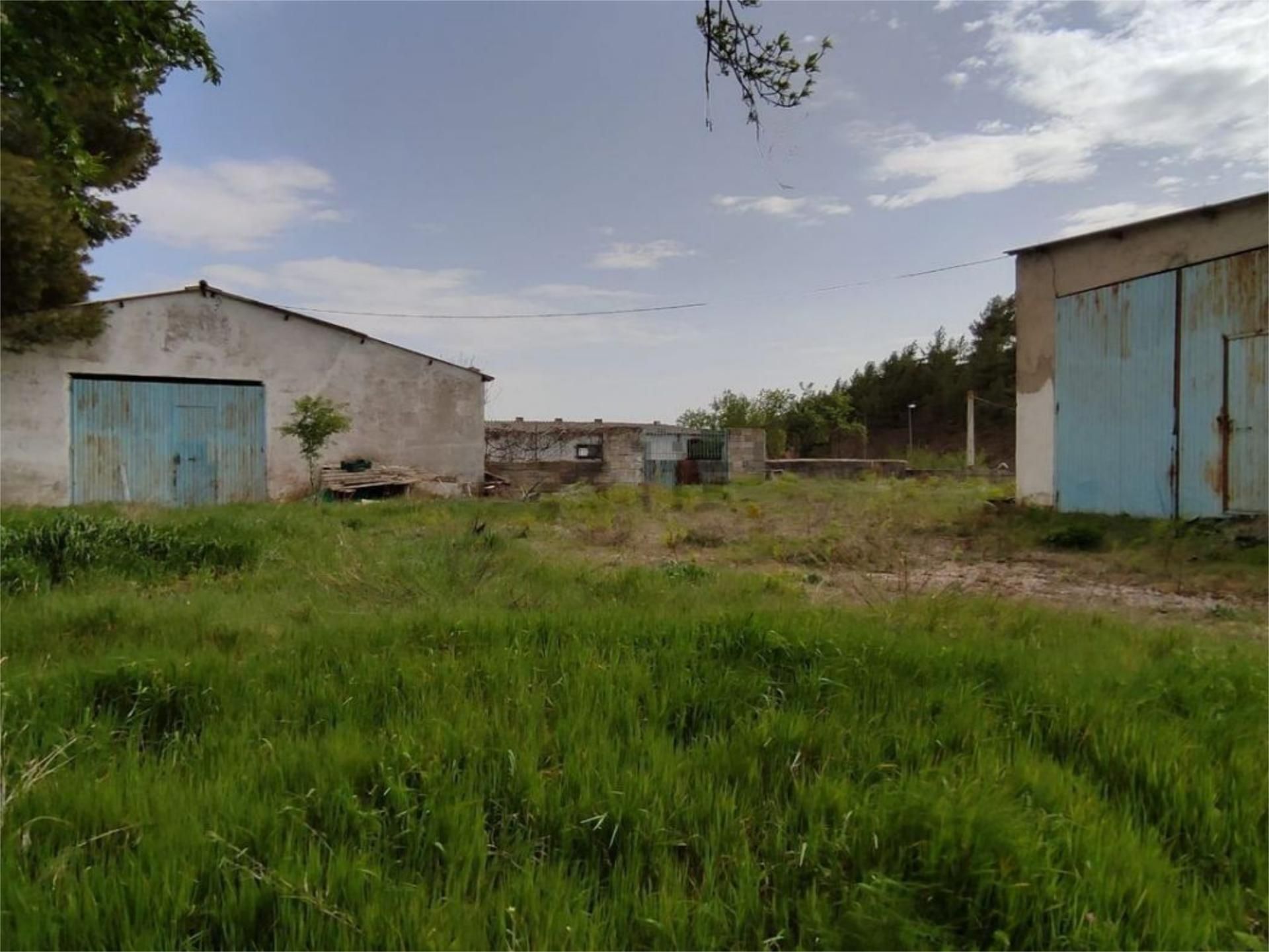 Constructible Land for sale in Almoguera