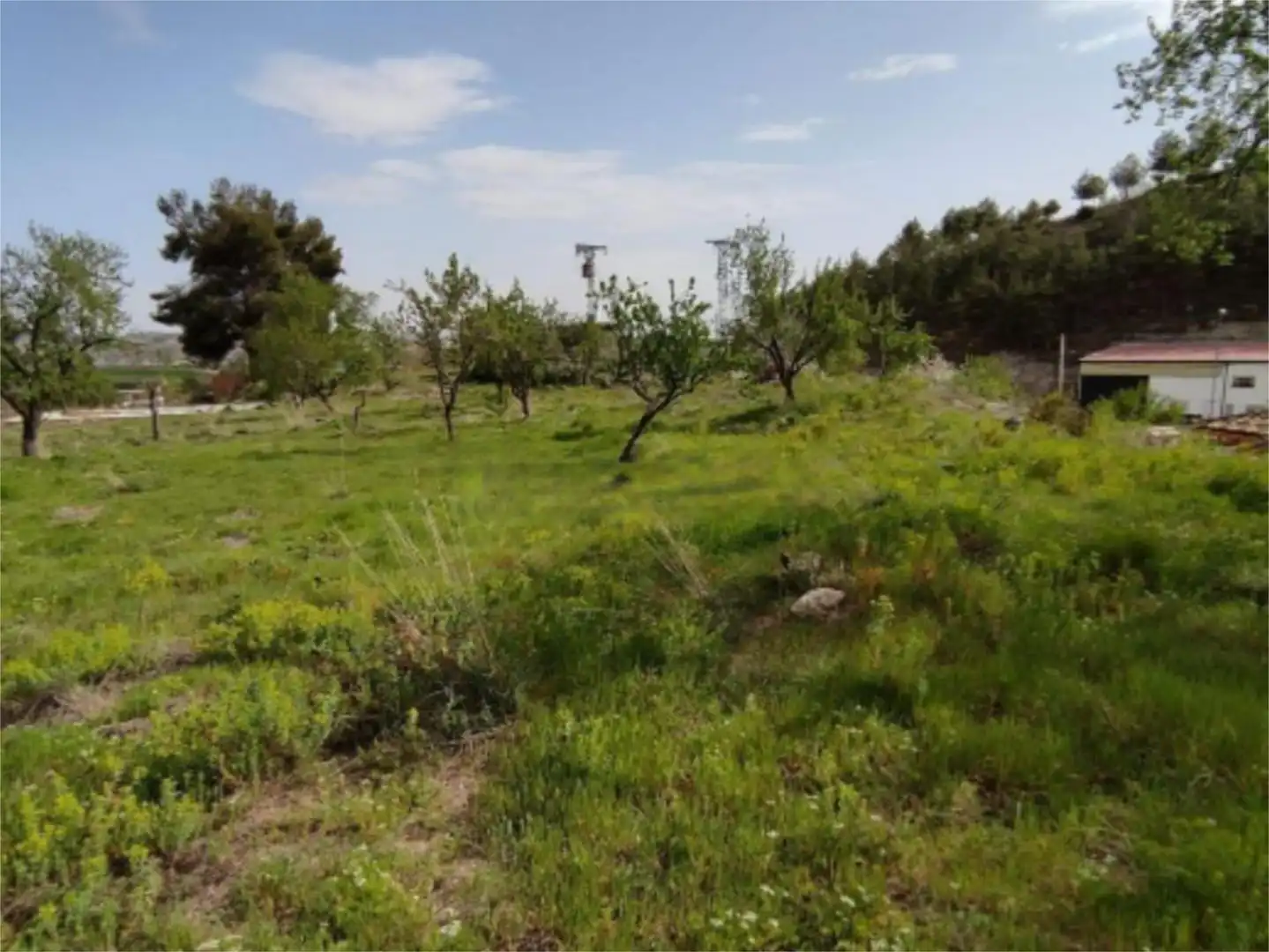 Bebaubares Gelände zum Verkauf in Calle Diseminados, 85, Almoguera Bebaubares Gelände zum Verkauf in Almoguera