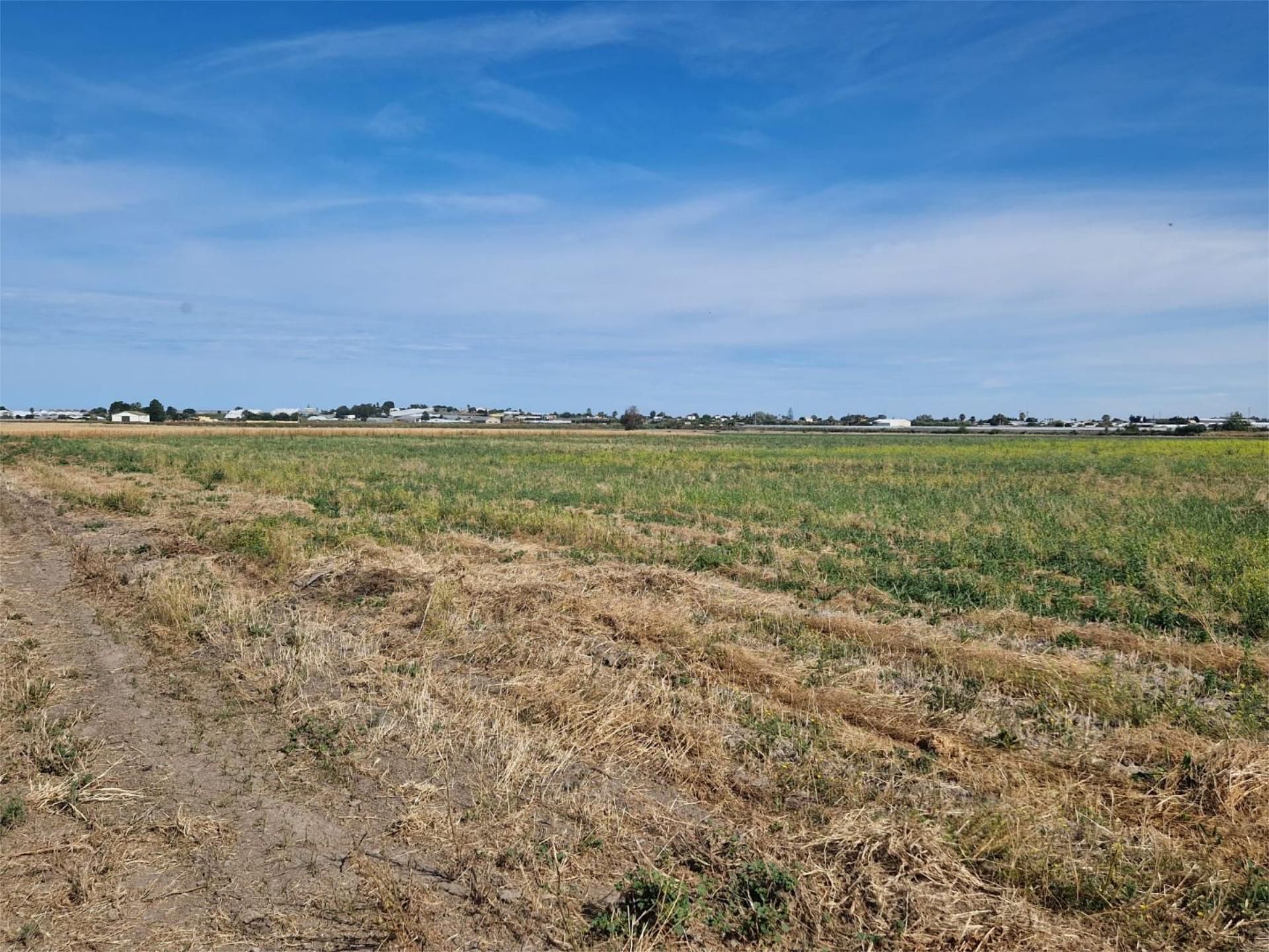 Land for sale in Chipiona