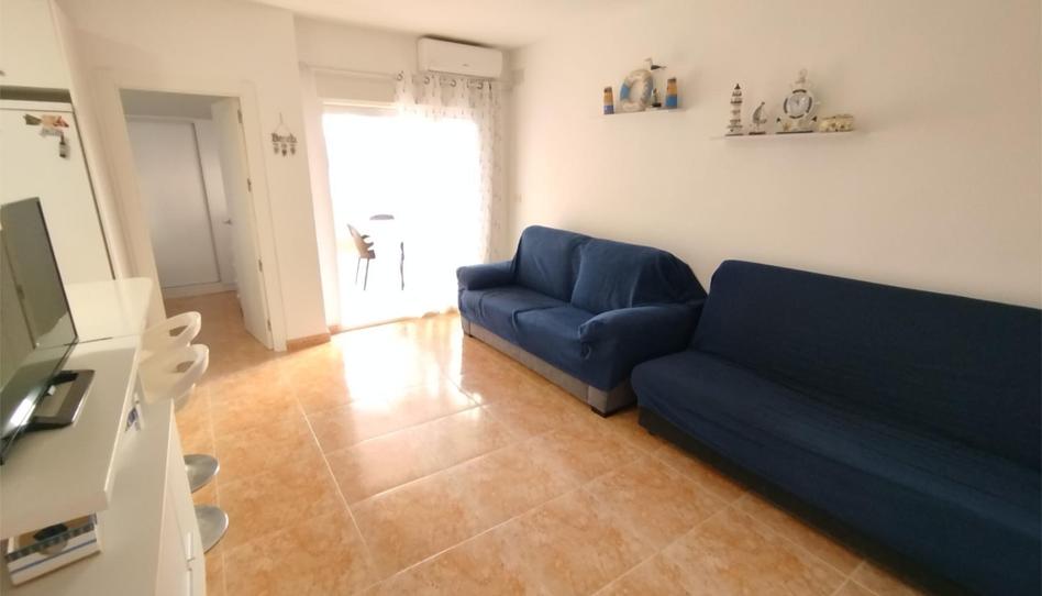 Foto 1 de Planta baixa de lloguer a Edificio Tesy Dos, 1, Entremares, Murcia