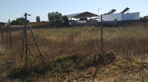 Foto 4 de Finca rústica en venta en Calle Canteruelas Seis, 2, Pelagatos - Pago del Humo, Cádiz