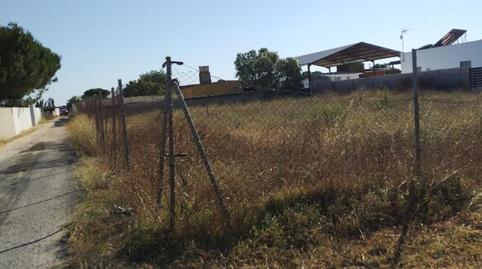 Foto 2 de Finca rústica en venta en Calle Canteruelas Seis, 2, Pelagatos - Pago del Humo, Cádiz