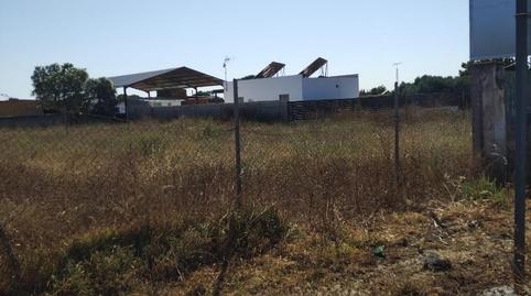 Foto 3 de Finca rústica en venta en Calle Canteruelas Seis, 2, Pelagatos - Pago del Humo, Cádiz