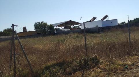 Foto 5 de Finca rústica en venta en Calle Canteruelas Seis, 2, Pelagatos - Pago del Humo, Cádiz