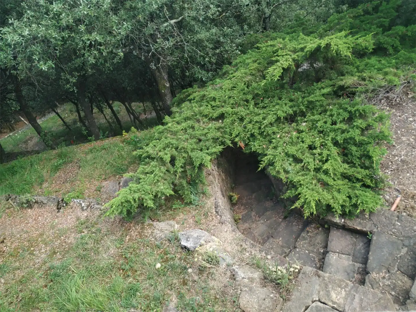 Constructible Land for sale in Cami Aiguanegra, Sant Joan Les Fonts Garden of Constructible Land for sale in Sant Joan Les Fonts