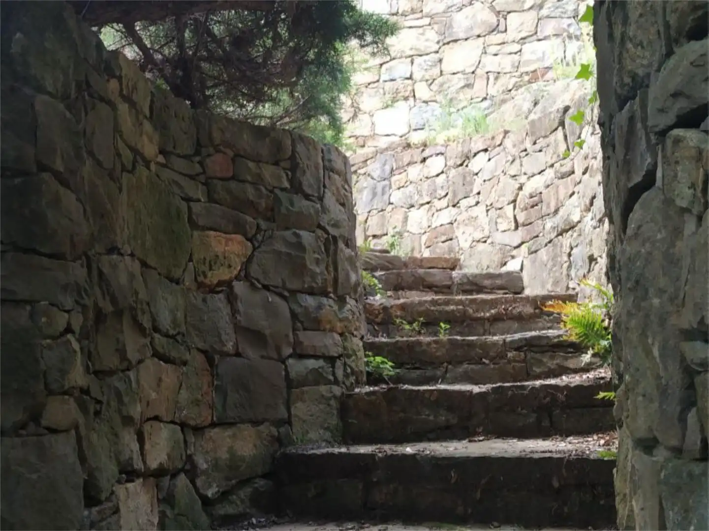 Constructible Land for sale in Cami Aiguanegra, Sant Joan Les Fonts Constructible Land for sale in Sant Joan Les Fonts