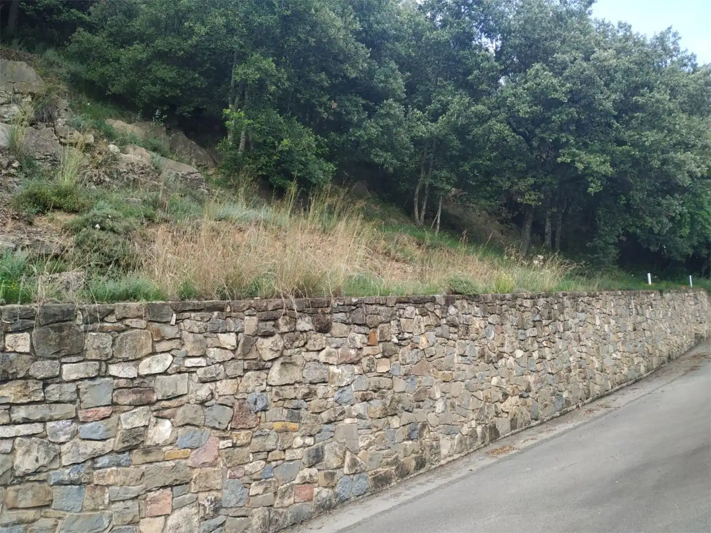 Constructible Land for sale in Cami Aiguanegra, Sant Joan Les Fonts Constructible Land for sale in Sant Joan Les Fonts