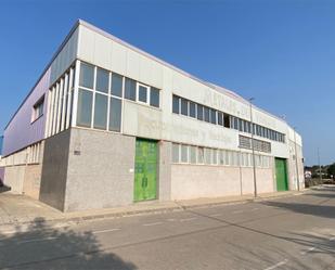 Exterior view of Industrial buildings to rent in Elda