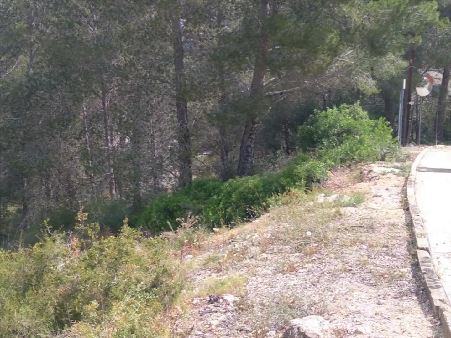Urbanizable en venta en Career del Cinca, 4, La Bisbal del Penedès Urbanizable en venta en La Bisbal del Penedès