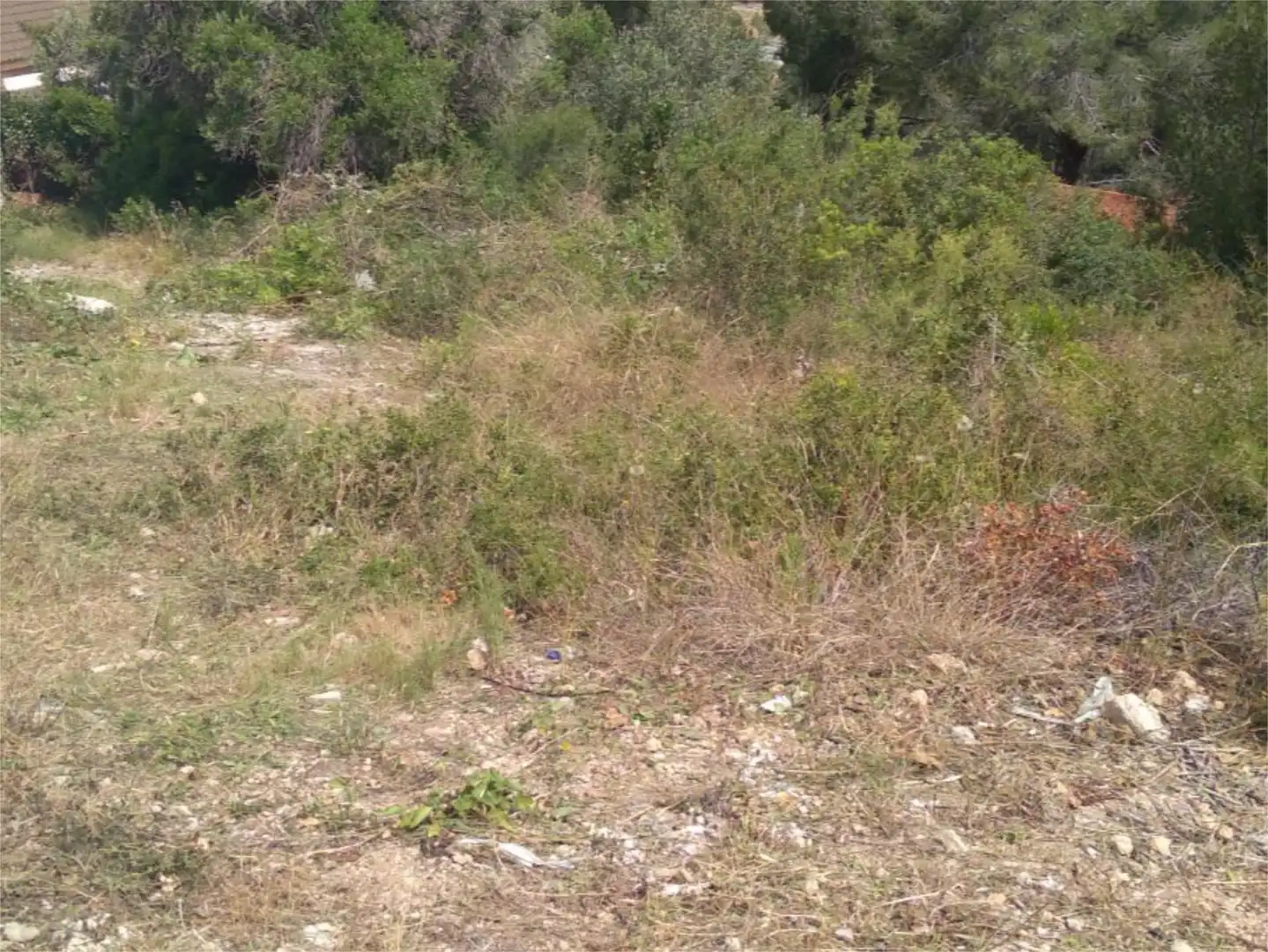 Urbanizable en venta en Career del Cinca, 4, La Bisbal del Penedès Urbanizable en venta en La Bisbal del Penedès