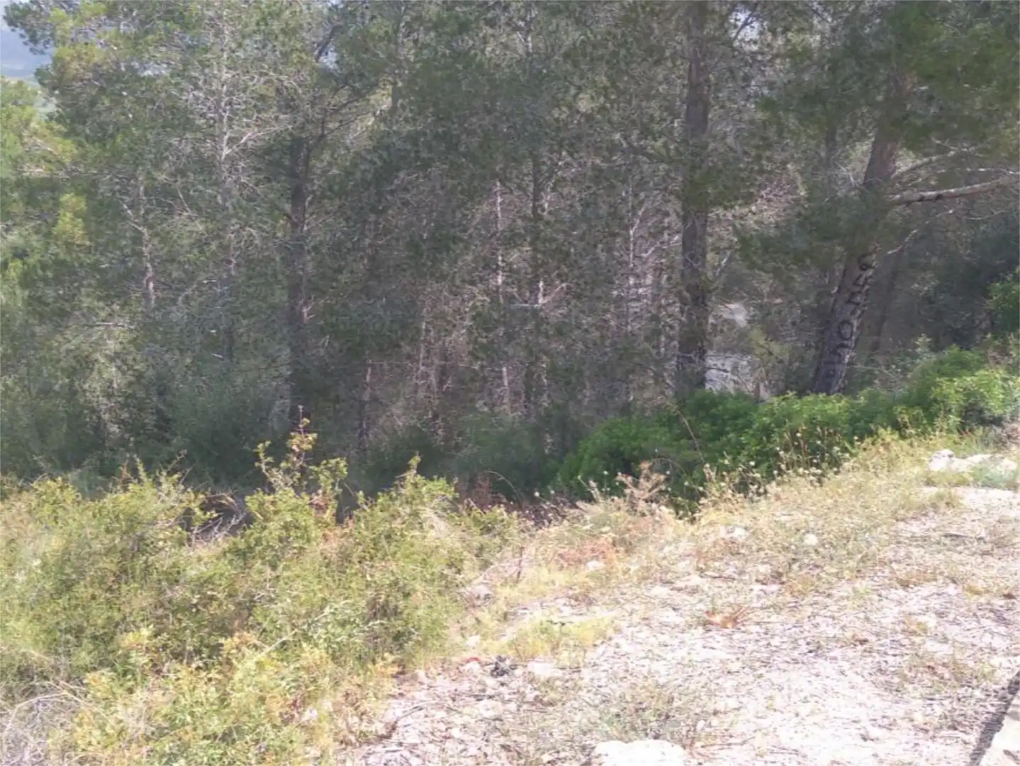 Urbanizable en venta en Career del Cinca, 4, La Bisbal del Penedès Urbanizable en venta en La Bisbal del Penedès