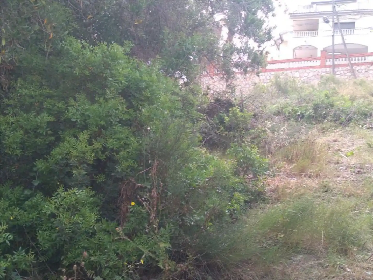 Urbanizable en venta en Career del Cinca, 4, La Bisbal del Penedès Urbanizable en venta en La Bisbal del Penedès