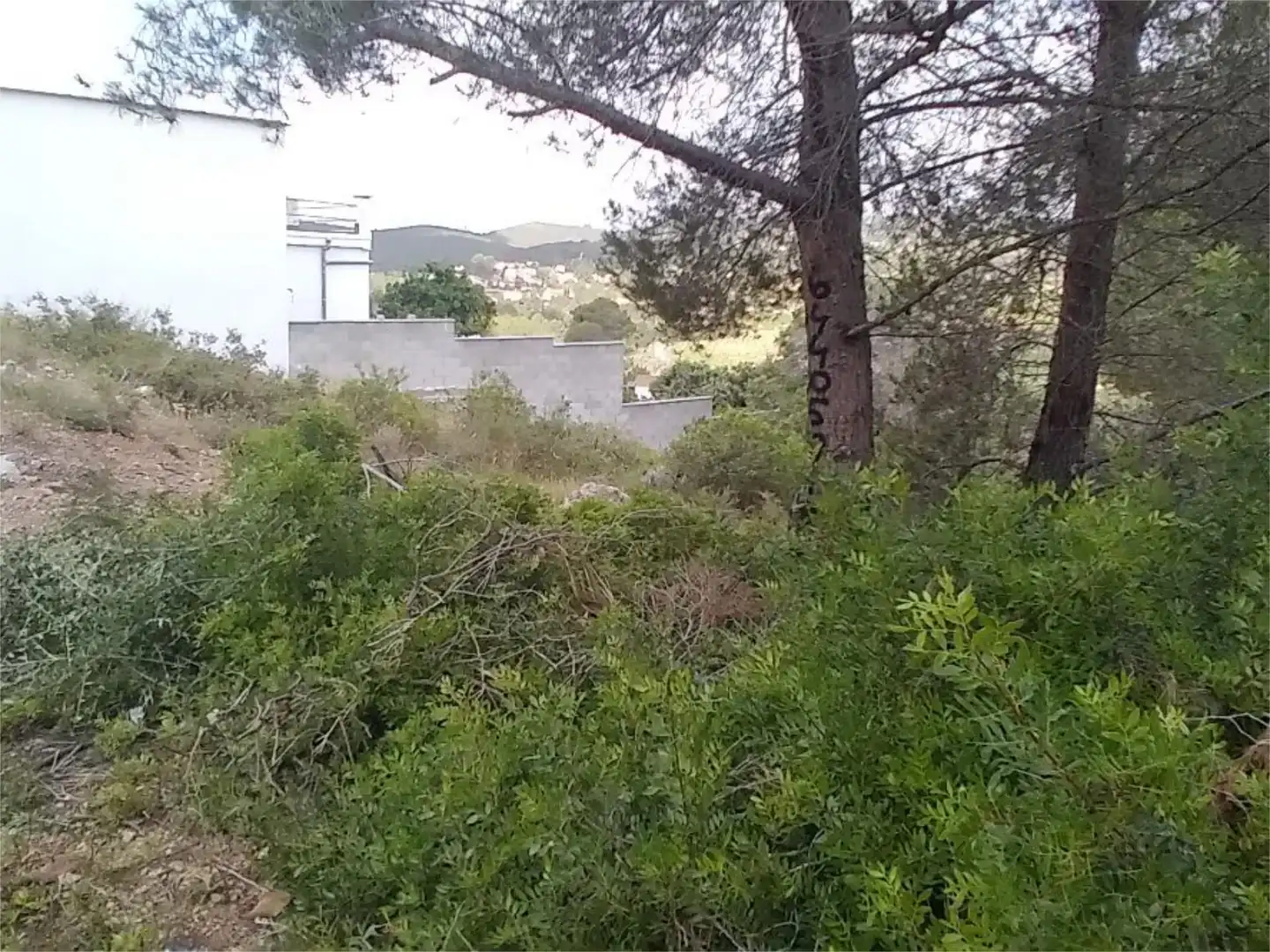 Urbanizable en venta en Career del Cinca, 4, La Bisbal del Penedès Urbanizable en venta en La Bisbal del Penedès
