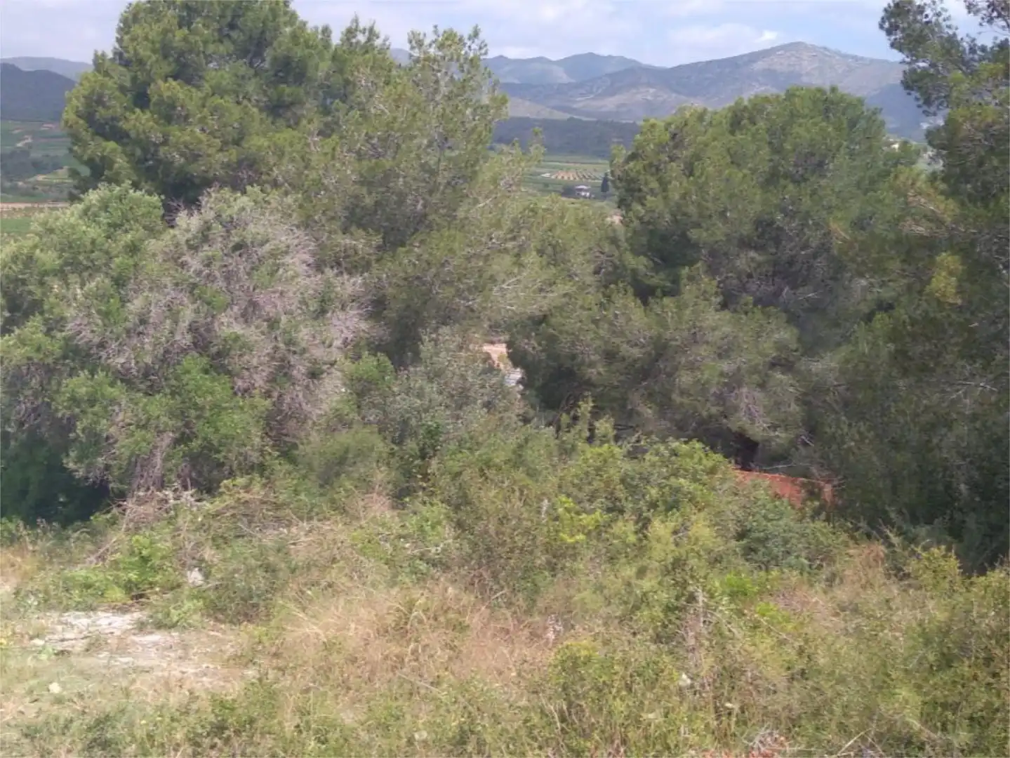 Urbanizable en venta en Career del Cinca, 4, La Bisbal del Penedès Urbanizable en venta en La Bisbal del Penedès
