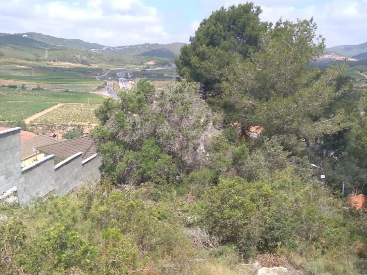 Urbanizable en venta en Career del Cinca, 4, La Bisbal del Penedès Urbanizable en venta en La Bisbal del Penedès