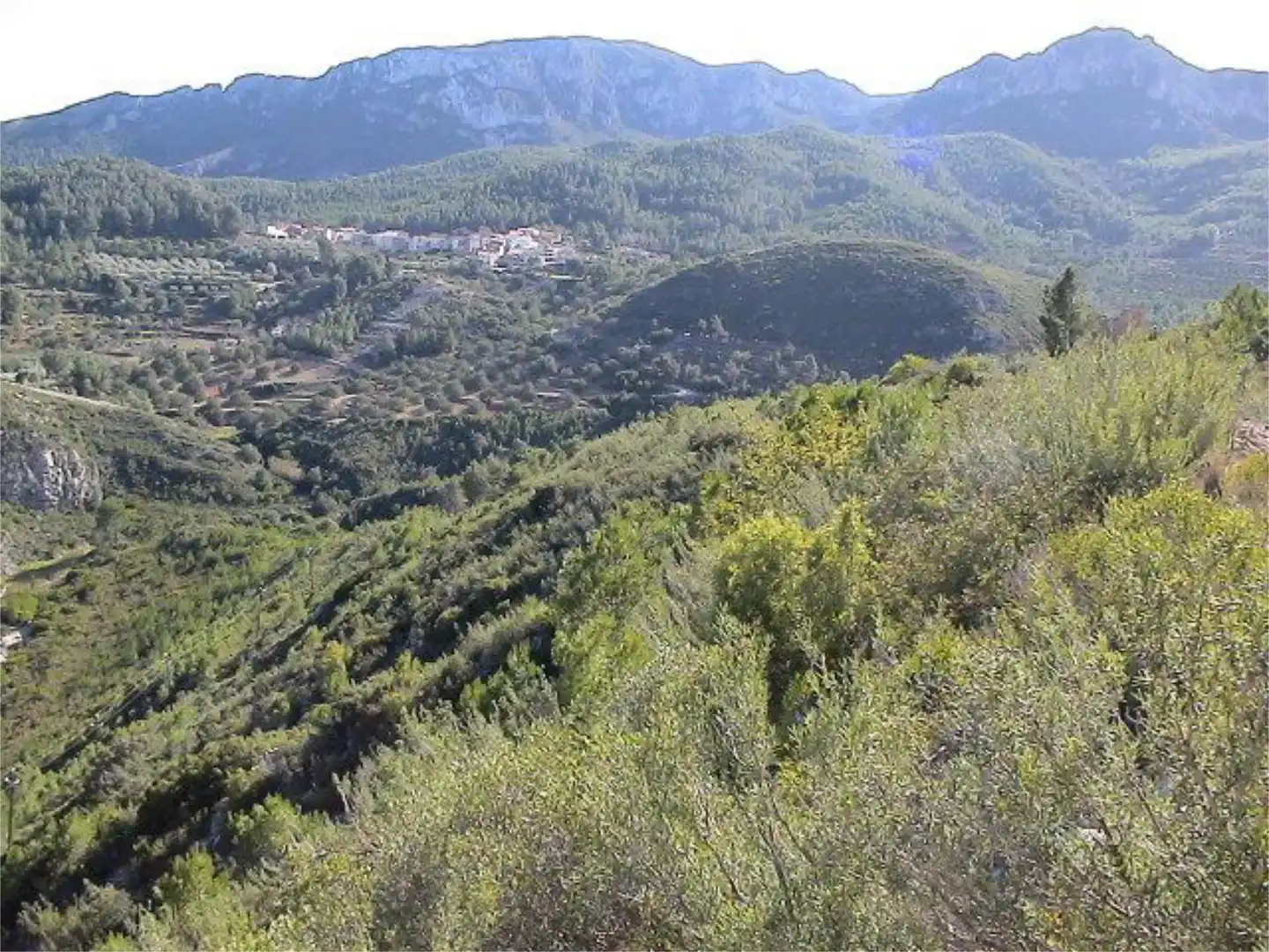 Constructible Land for sale in Carretera, 7, Ponent Exterior view of Constructible Land for sale in Reus