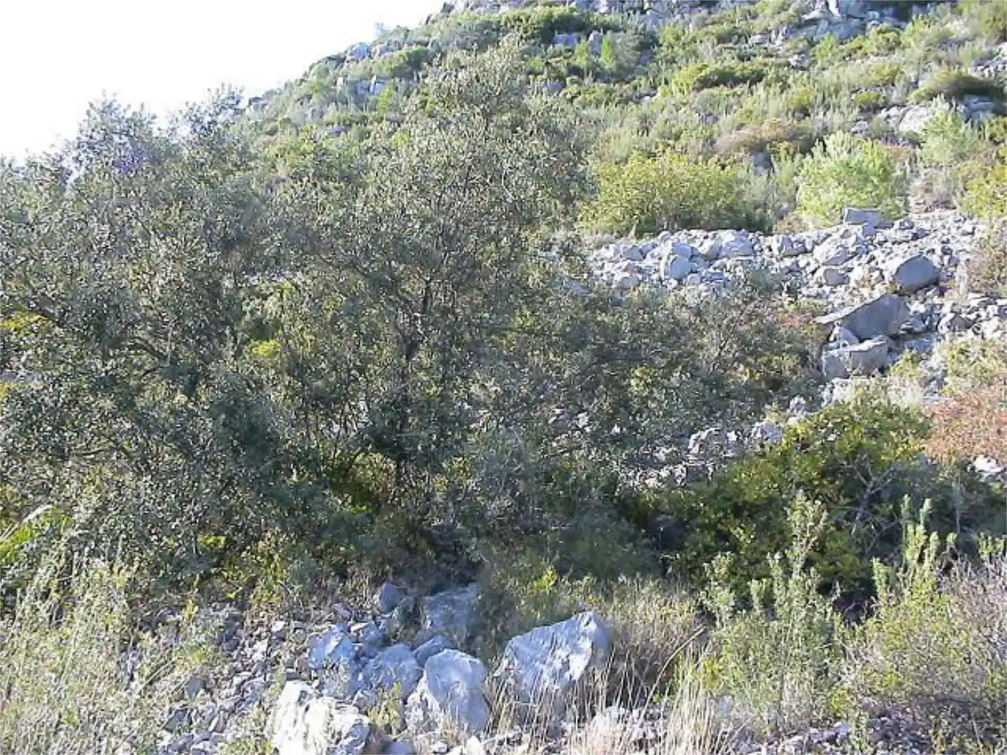 Constructible Land for sale in Carretera, 7, Ponent Constructible Land for sale in Reus