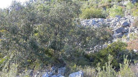 Urbanitzable en venda a Carretera, 7, Ponent, Tarragona - imatge 3 Foto 3 de Urbanitzable en venda a Carretera, 7, Ponent, Tarragona