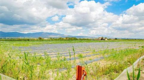 Finca rústica en venda a Calle Cardenal Belluga, 11, San Isidro, Alicante - imatge 5 Foto 5 de Finca rústica en venda a Calle Cardenal Belluga, 11, San Isidro, Alicante