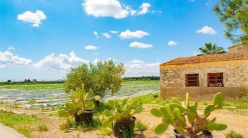 Finca rústica en venda a Calle Cardenal Belluga, 11, San Isidro, Alicante - imatge 3 Foto 3 de Finca rústica en venda a Calle Cardenal Belluga, 11, San Isidro, Alicante
