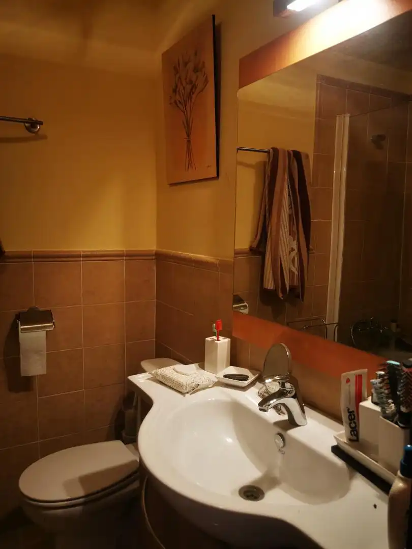 Bathroom of Flat for sale in San Juan de Gredos  with Heating, Private garden and Terrace