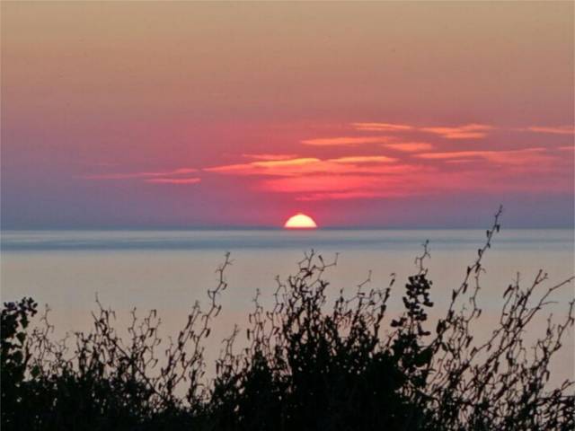 Finca rústica en Venta en Diseminado Palma Cr, 9 en Banyalbufar