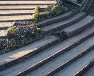 Jardí de No Urbanitzable en venda en San Miguel de Abona