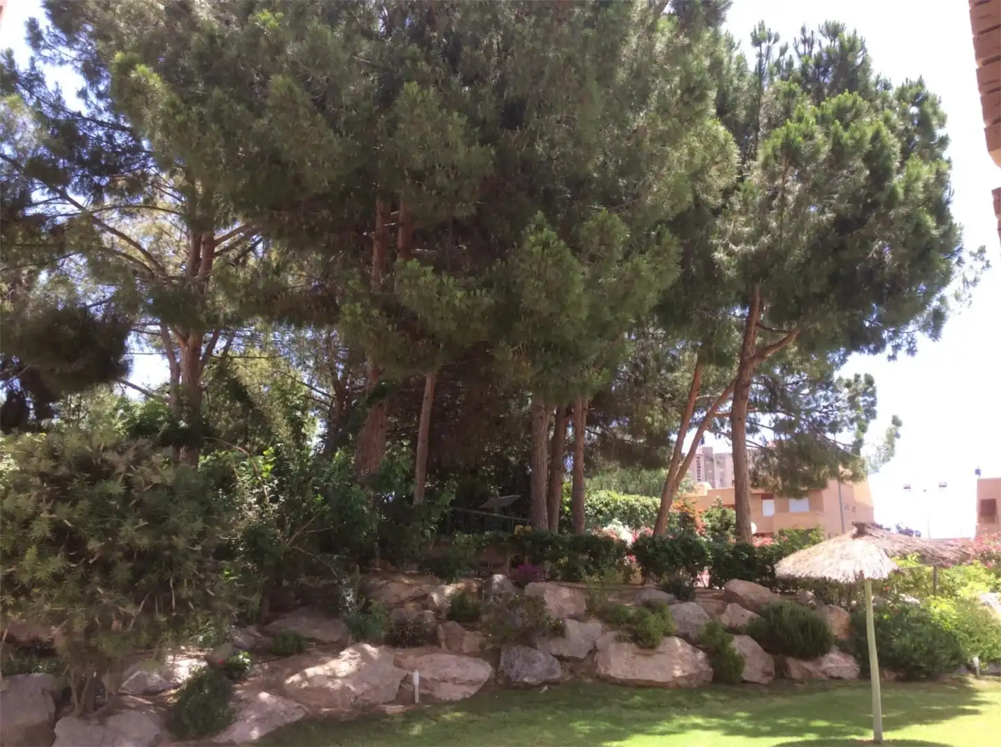 Apartament de lloguer a Calle Arpón, 12, Cabo de las Huertas